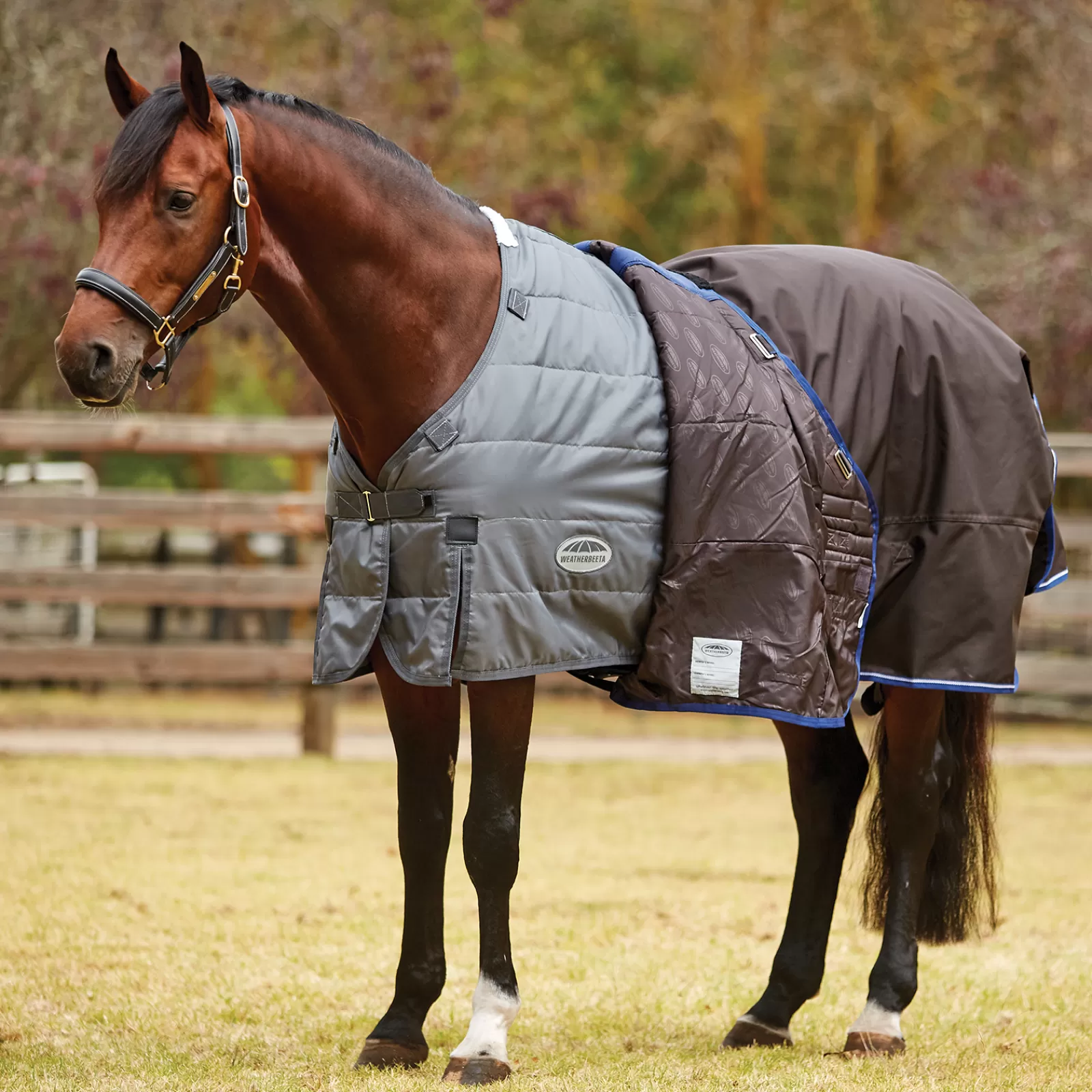 Comfitec Ultra Cozi Ii Tappeto Turnout Staccabile Dal Collo, 100G>weatherbeeta Fashion