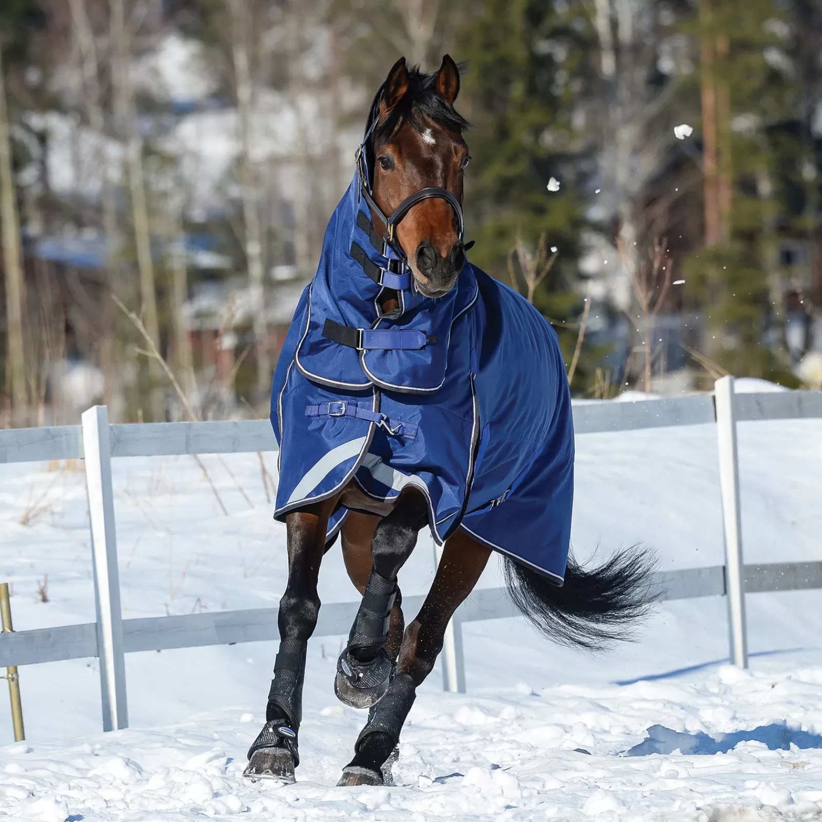 Comfitec Ultra Tough Ii Tappeto Turnout Staccabile Dal Collo, 100G>weatherbeeta Best