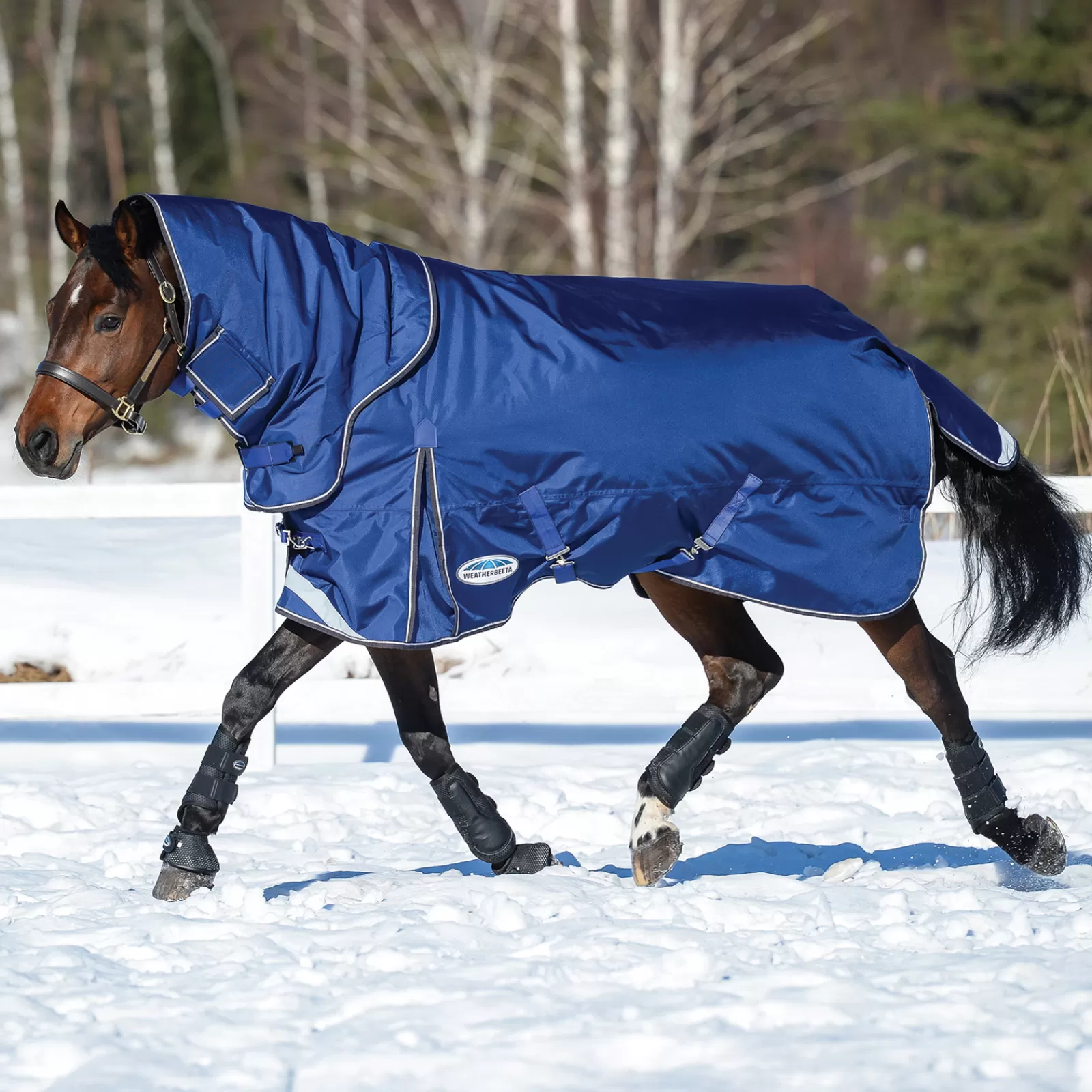 Comfitec Ultra Tough Ii Tappeto Turnout Staccabile Dal Collo, 100G>weatherbeeta Best