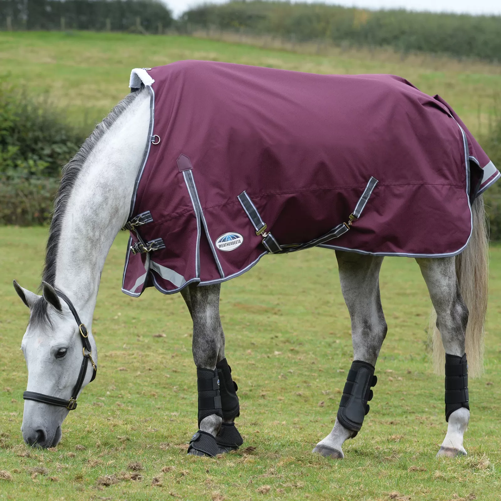 Comfitecplus Dynamic Ii Coperta Da Turnout, 0 Gr>weatherbeeta Hot