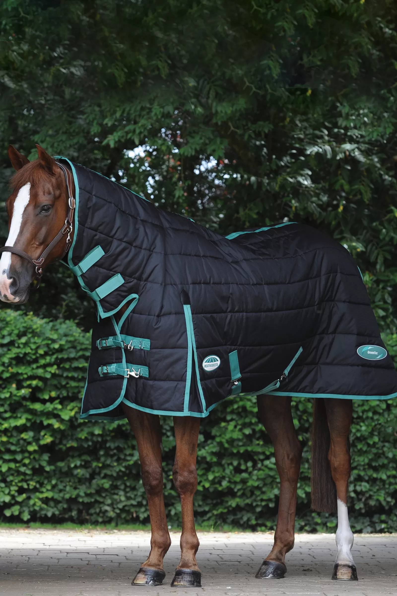 Coperta Da Stalla Green-Tec Con Collo Inamovibile, 150 Gr>weatherbeeta Cheap